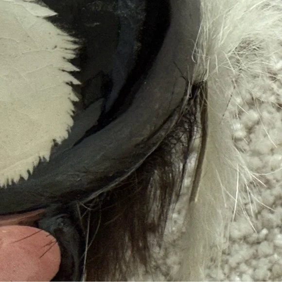 Set of 2 antique skunk banks - Picture 12 of 15